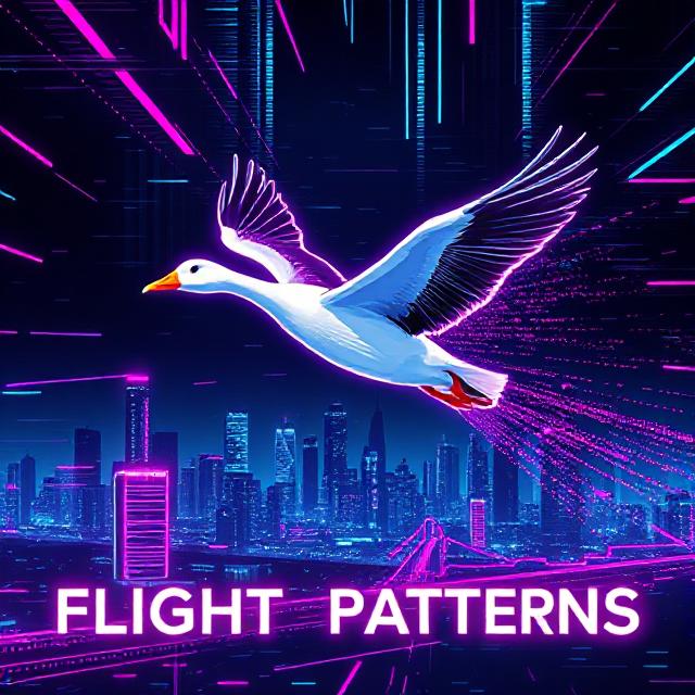 Flight Patterns